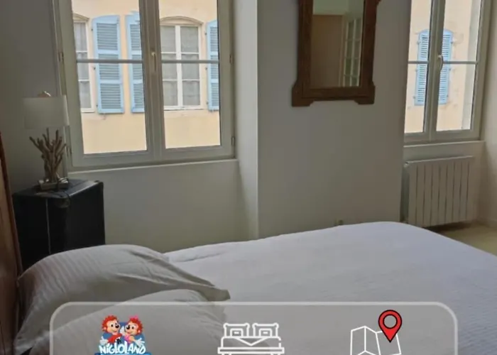 Appartement Plein De Charme - Centre Bar-Sur-Aube
